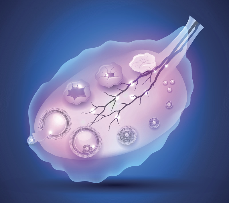 2026年广州高龄试管医院精选：聚焦57岁以上，附5家实力机构深度对比与医生推荐